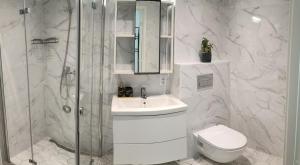 a bathroom with a shower and a sink and a toilet at Uueka Külaliskorter in Kuressaare