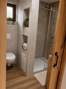 a bathroom with a shower and a toilet at Relax house Aurora in Jasenovica +38 photos