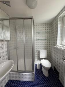 a bathroom with a shower and a toilet and a tub at Apartment Am Wald in Idar-Oberstein