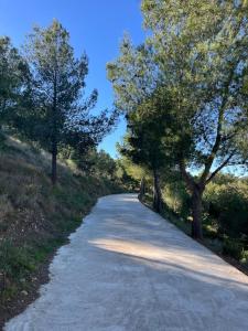 a road with trees on the side of it at Apartamento Carmen in Macastre