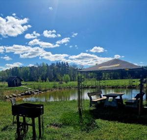 a gazebo with a table and chairs next to a lake at Forest edge in Saugos