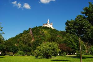 eine Burg auf einem Hügel mit Bäumen in der Unterkunft Ferienwohnung Pretz in Braubach