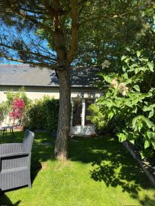 a white bench sitting in the grass next to a tree at Les Mûres in Saint-Lunaire