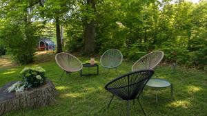 three chairs and a table in the grass at Oberlausitz Glück - gemütliche Ferienwohnung in ruhiger Lage mit Garten und Kamin in Sohland
