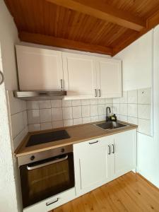 a kitchen with white cabinets and a sink at Studio apartman i sobe SIDRO in Karlobag +7 photos