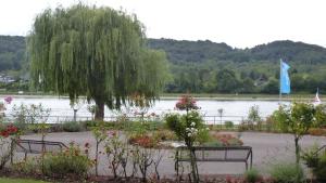 einen Park mit zwei Bänken, einem Baum und Blumen in der Unterkunft Ferienwohnung Pretz in Braubach + 2 Fotos