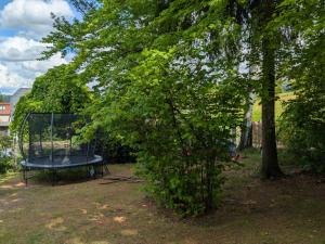 a tree with a table in front of a park at Oberlausitz Glück - gemütliche Ferienwohnung in ruhiger Lage mit Garten und Kamin in Sohland