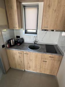 a small kitchen with a sink and a window at Villa Roza in Kallithea Halkidikis
