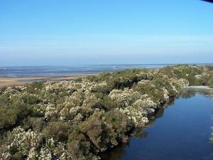 an aerial view of a river with trees and water at Charmant Studio in Le Teich