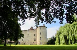 an old castle with trees in the foreground at Château de Fourcès in Fourcès