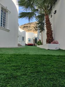 a palm tree in front of a white house at شالية الكناري in Taif