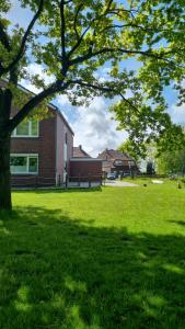 a tree in front of a building in a field at Ferienhof Harlenest in Wittmund