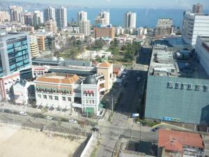 Nespecifikovaný výhled na destinaci Viña del Mar nebo výhled na město při pohledu z apartmánu