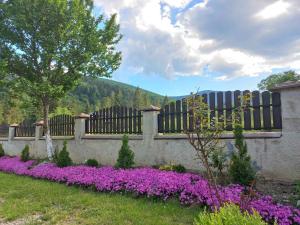 a fence with purple flowers in a yard at Yaremche Potik Guest House in Yaremche