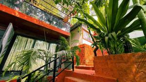a group of plants on the side of a building at Hillora Coastal Resort Goa in Arpora