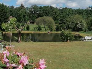 a park with a lake and a bench in the grass at chambres d hôtes chez Isabelle in La Ferté-Saint-Cyr
