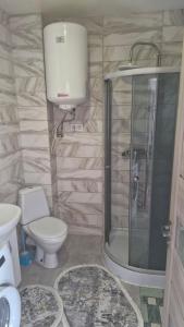 a bathroom with a shower and a toilet and a sink at Старе місто, центр in Lutsk
