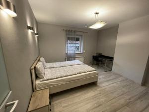 a bedroom with a bed and a desk in it at Apartament Ala in Zabrze