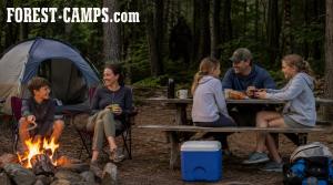 Clients de Forest Camps