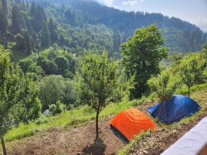 two tents on the side of a hill with trees at The WILD Canopy in Kulu
