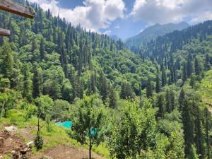 a view of a valley with trees and a river at The WILD Canopy in Kulu