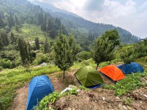 a group of tents on a hill in a field at The WILD Canopy in Kulu