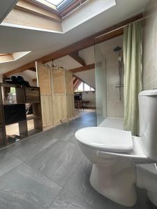 a bathroom with a toilet and a glass shower at Chez Clémence & Baptiste in Buhl-Lorraine