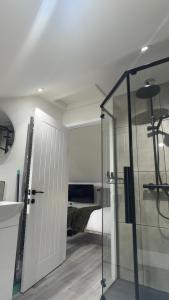 a bathroom with a glass door leading to a bedroom at The Loft in Gwys Station +12 photos