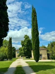 a tree in the middle of a driveway at Chapelle Blóm in Nougaroulet