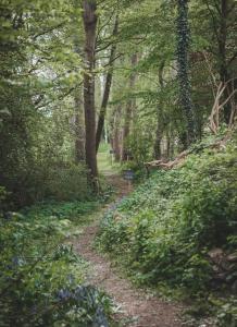 a path in a wooded area with a sign on it at The Grand Indradhar Resort Dharamshala in Dharamshala