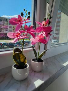 two white vases with pink flowers on a window sill at Apartman Milica 1 in Doboj +3 photos