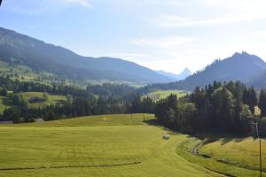 a field of green grass with a car on it at Ferienwohnung Pöreiterhof in Tauplitz