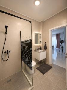 a bathroom with a shower and a toilet and a sink at MangaRenga apartments in Šušanj +38 photos