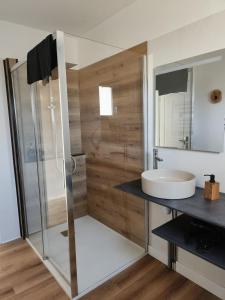 a bathroom with a sink and a glass shower at L'Orée du Bois in Pulnoy +18 photos