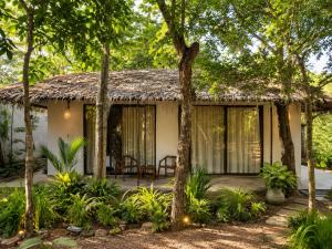 a house with a thatched roof and a patio at Myla Lodge in Anuradhapura