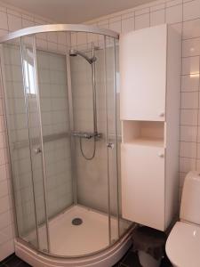 a shower with a glass door in a bathroom at Evjen H0101 in Tromsø