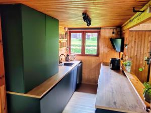 a kitchen with green walls and a sink at Chalet La Roche 231 in Rendeux
