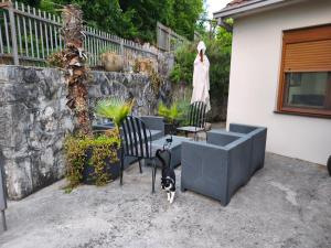 a dog standing next to two chairs and a table at Holiday home Haustor with Skadar lake view in Cetinje +157 photos
