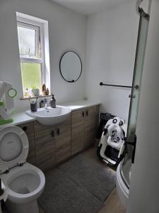 a bathroom with a toilet and a sink and a mirror at Clover Ground Home in Bristol
