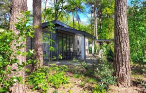 a tiny house in the woods with trees at De Ankergooi! in Hardenberg