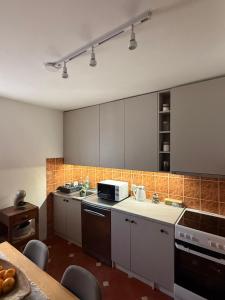 a kitchen with a sink and a microwave at Vila Rosa Kolasin in Kolašin