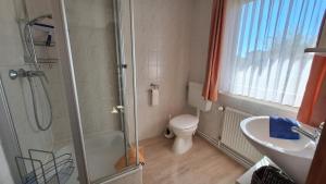 a bathroom with a shower and a toilet and a sink at Ferienwohnung Strandweg 1 in Wieck
