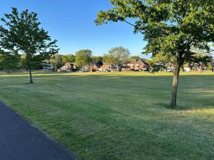 two trees in a grass field with houses in the background at Stylish 2 Bed Flat Parking Sutton Coldfield in Birmingham