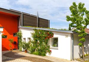 a white house with a bush with red flowers at Ferienwohnung Rosenrot in Überlingen