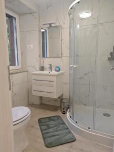 a bathroom with a shower and a toilet and a sink at Sobe - Rooms NININ in Deskle