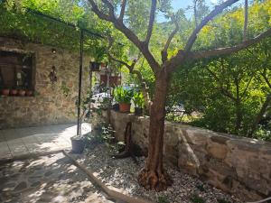 a tree sitting next to a stone wall at Sobe - Rooms NININ in Deskle