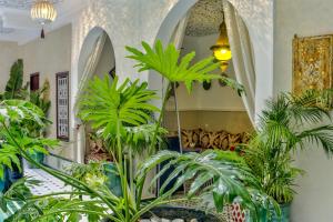 a room filled with lots of plants at Riad Samir Oasis And Spa in Marrakesh