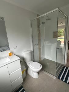 a bathroom with a toilet and a glass shower at Cozy Curtin Cottage in Lyons +55 photos