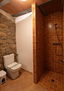 a bathroom with a toilet and a shower at L'Antic ajuntament de la Torra in La Baronia de Rialb +26 photos