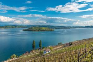 eine Insel inmitten eines großen Gewässers in der Unterkunft Studio Lago in Tüscherz-Alfermée